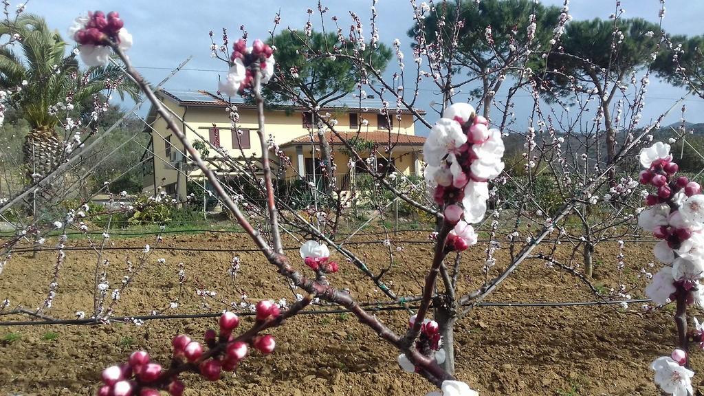 Agriturismo Val Di Nappo カスティリオーネ・デッラ・ペスカーイア エクステリア 写真